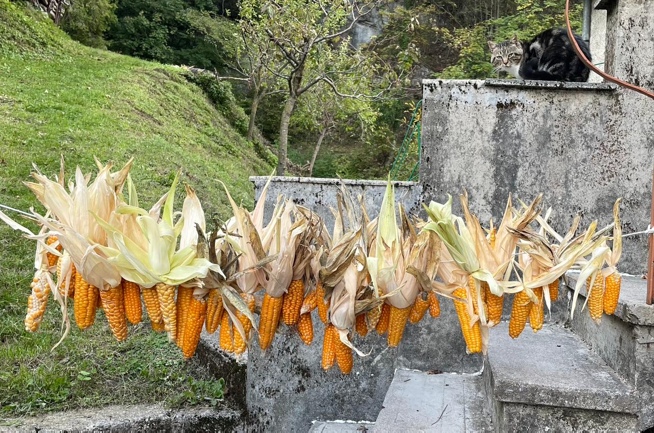 Azienda Agricola Al Fienile – le origini