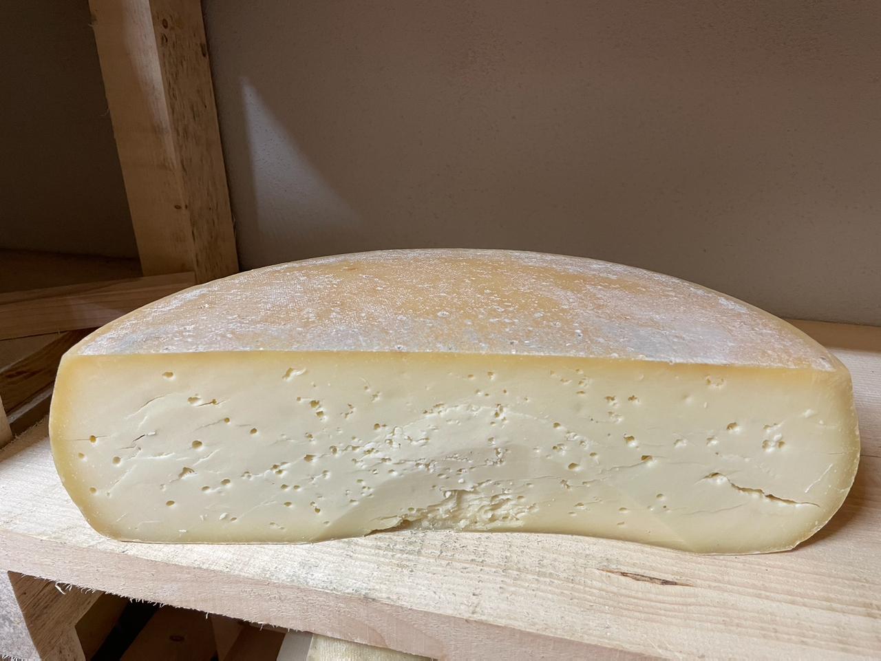 Formagia – formaggio fresco morbido pronto in 30-40 giorni