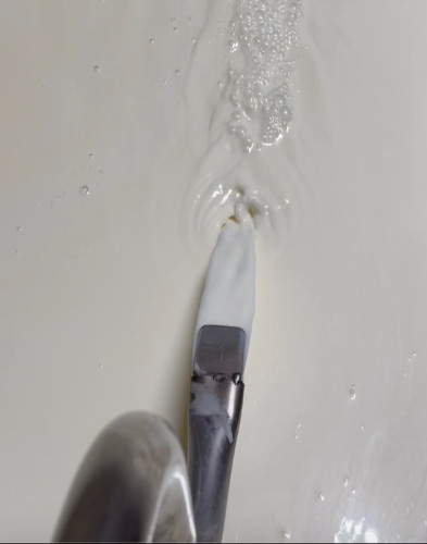 Vacche di razza Bruna al pascolo estivo nella Val Vestino