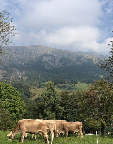 Interno della stalla di Al Fienile