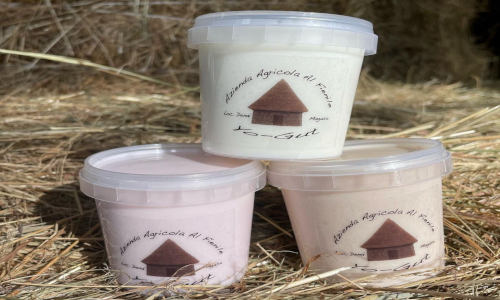 Yogurt artigianale prodotto con latte di vacche di razza Bruna